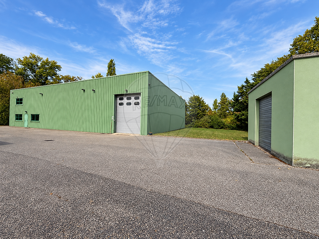 Local d’activité à vendre - Fleurieu-sur-Saône · 730 m² · 920 000 €/mois