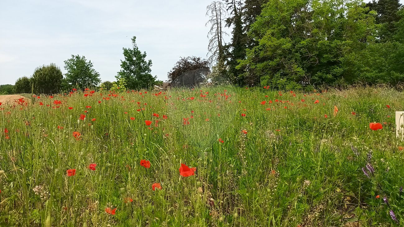 Terrain 500 m² · à Saint-Georges-de-Reneins · 500 m² · 175 000 €