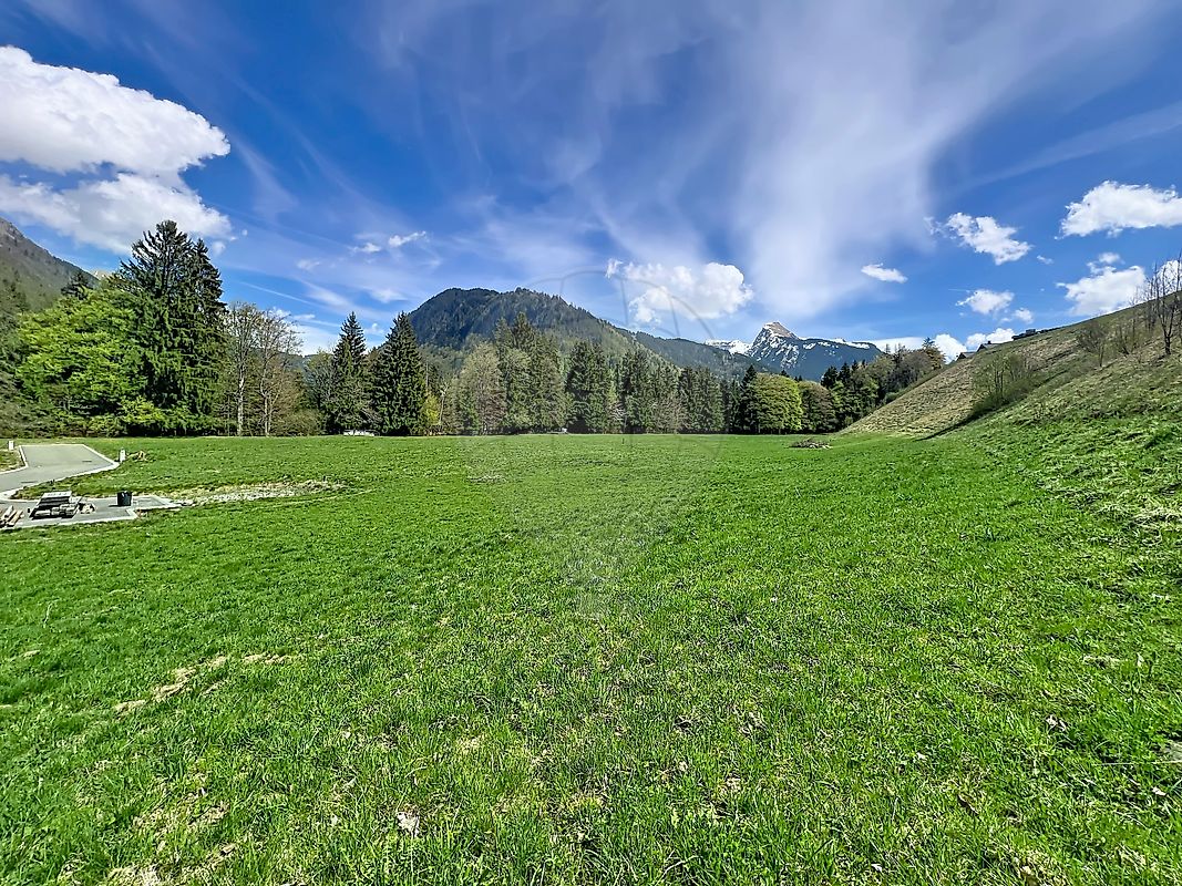 Terrain à vendre - Montriond · 595 000 €