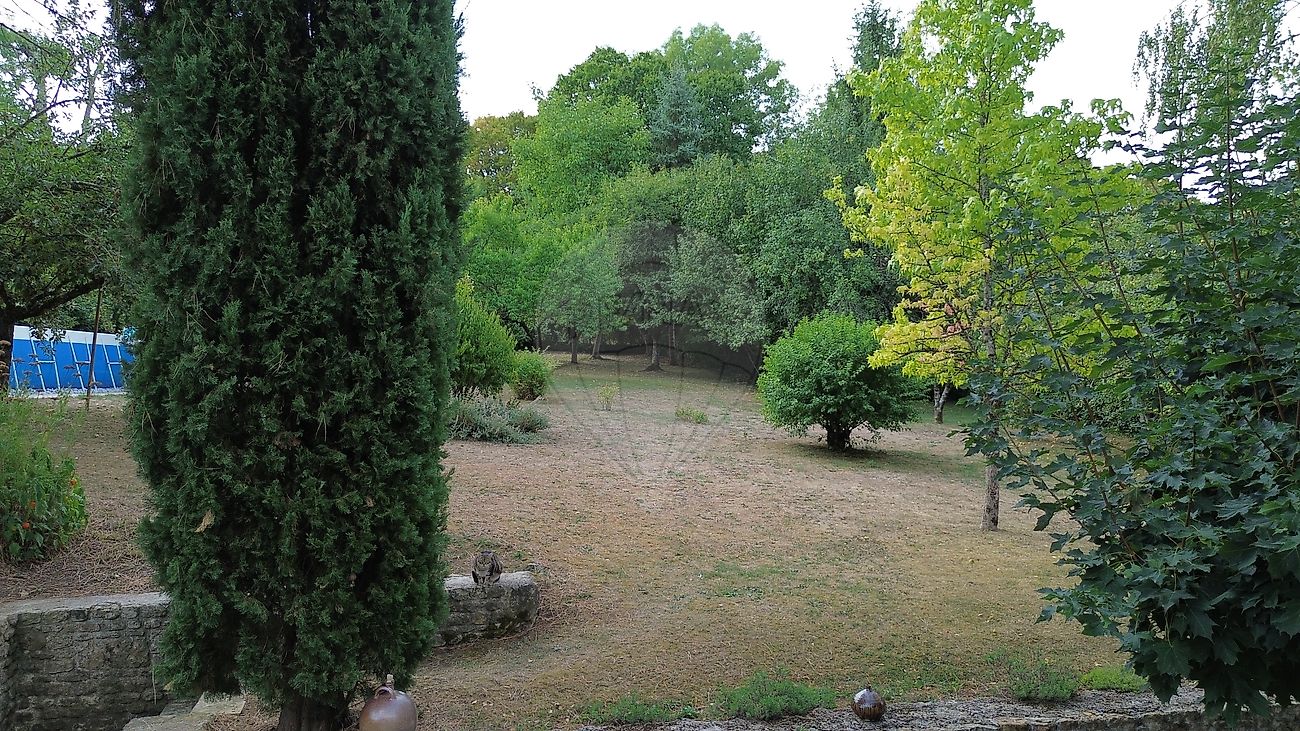 Photo 28 proposée par RE/MAX PLATINIUM