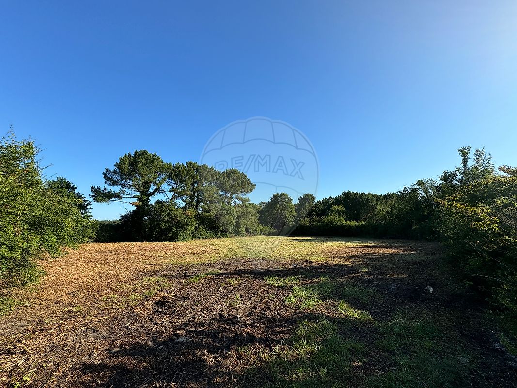 Terrain à vendre - Arvert · 29 000 €