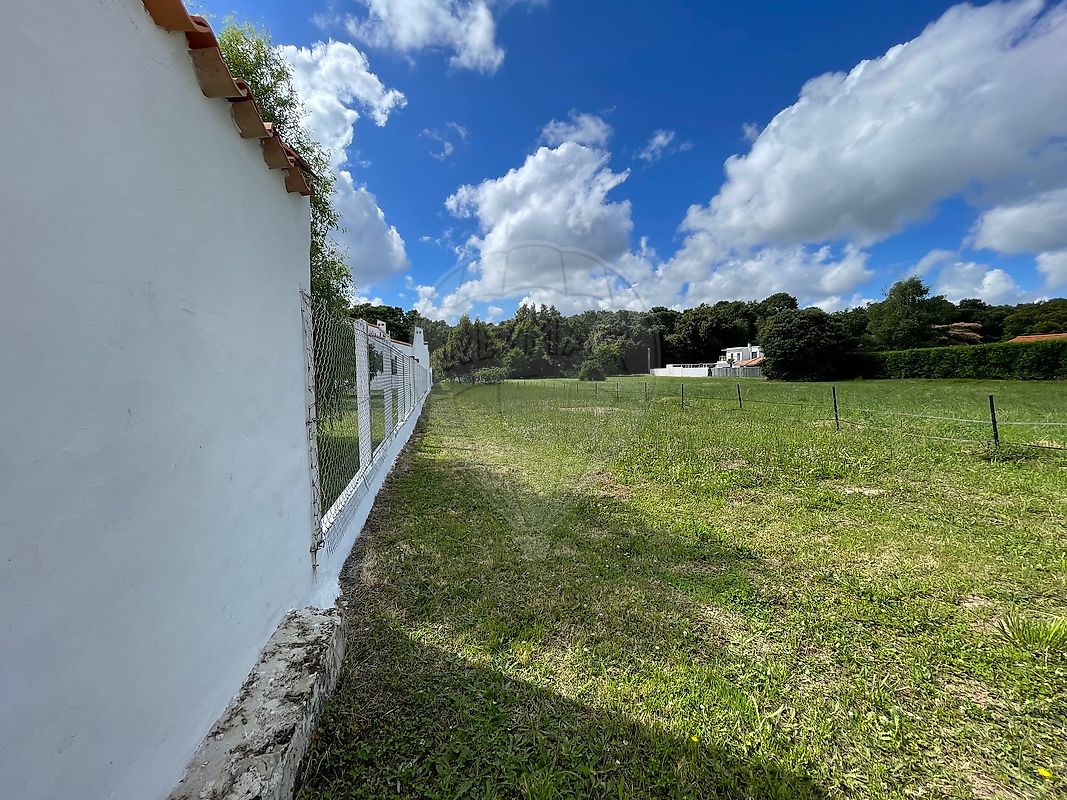 Terrain 504 m² · à Saint-Palais-sur-Mer · 504 m² · 99 500 €
