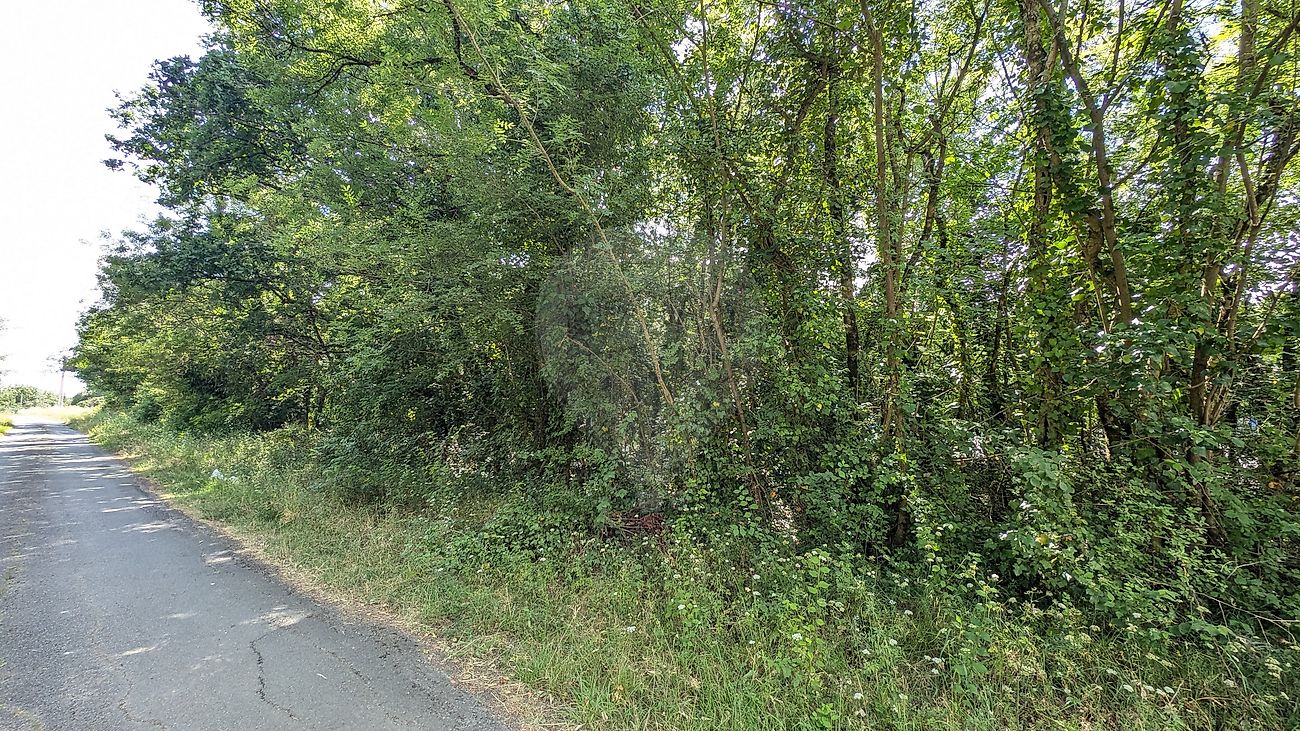 Terrain à vendre - Chaillevette · 30 000 €
