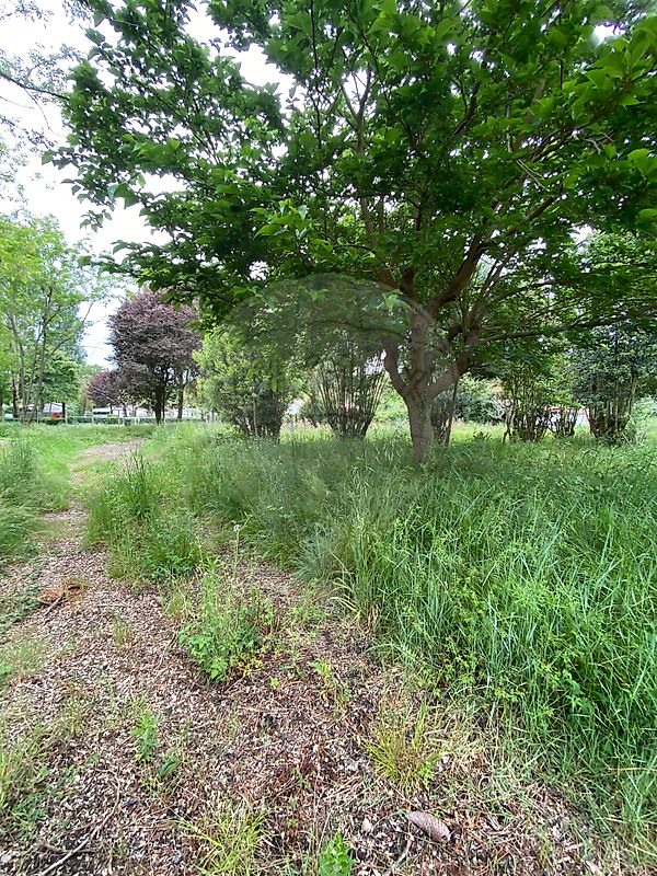 Terrain à vendre - Saint-Palais-sur-Mer · 316 000 €