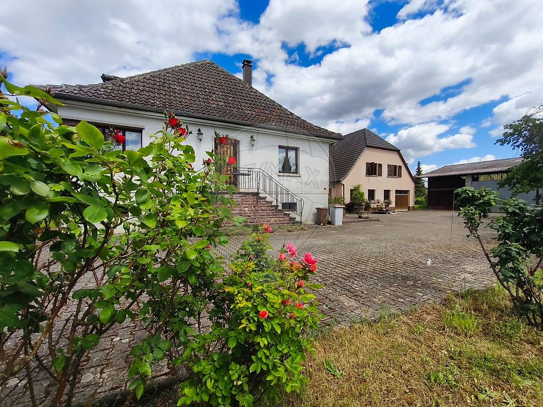 Maison 10 pièces 338 m² · à Pfaffenheim · 338 m² · 685 750 €