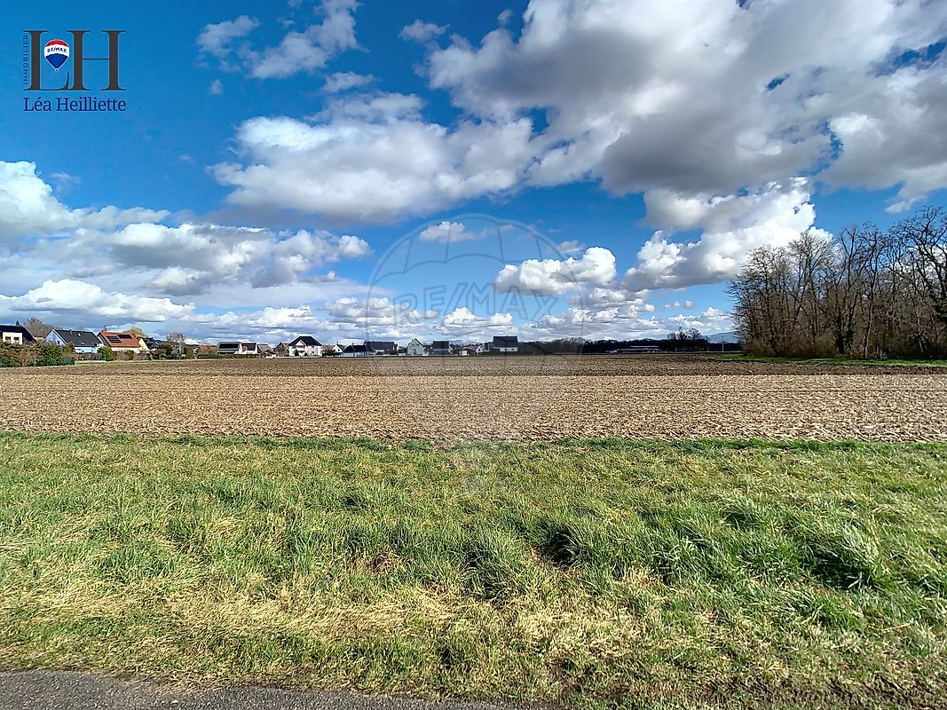 Terrain à vendre - Algolsheim · 79 453 €