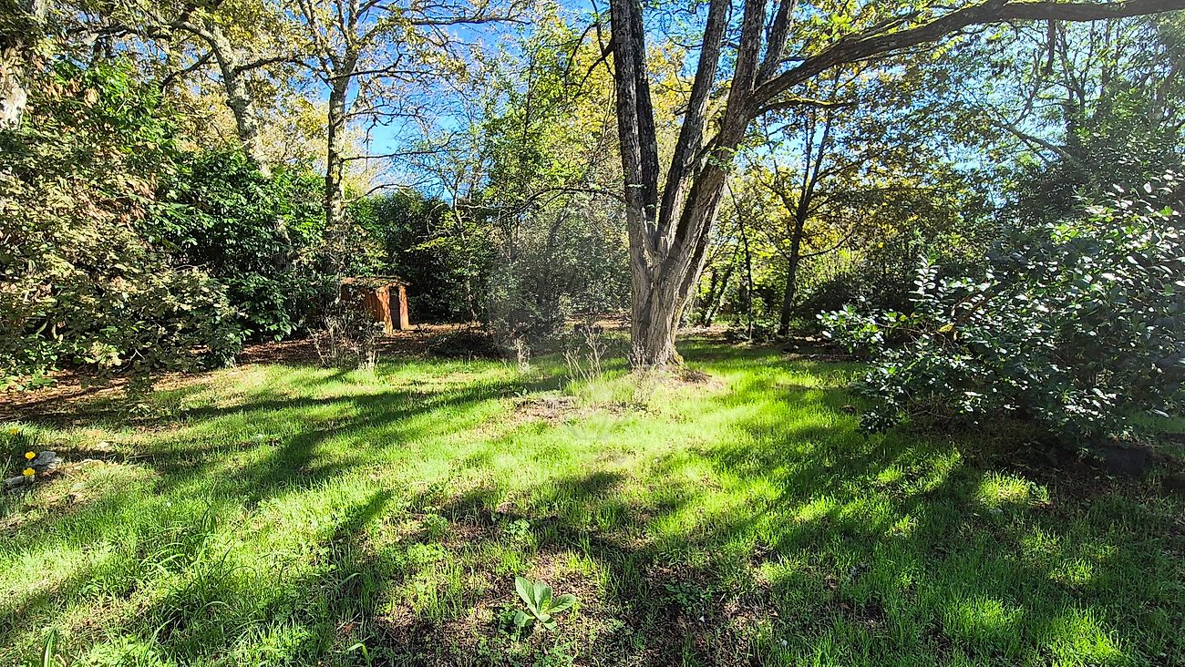 Terrain 800 m² · à Saint-Aubin-de-Médoc · 800 m² · 211 000 €