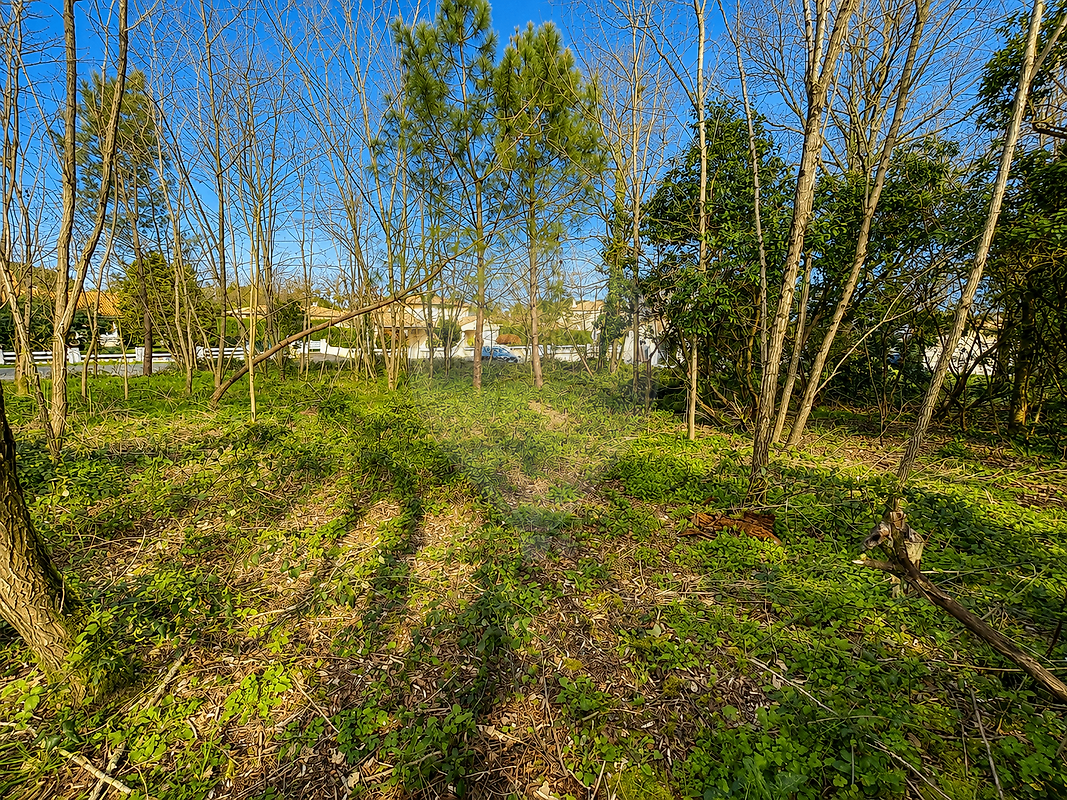 Terrain à vendre - Léognan · 216 800 €