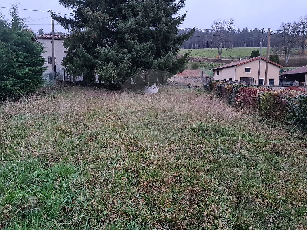 Terrain à vendre, 1600 m² - Riotord 43220