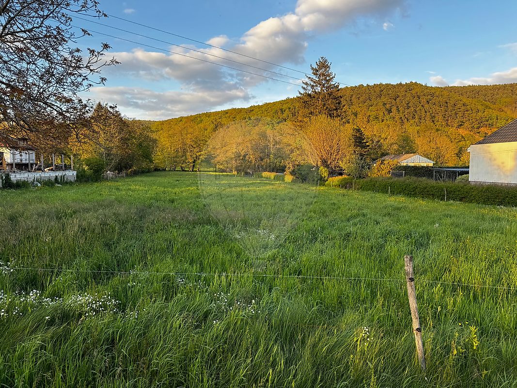 Terrain 4800 m² · à Buhl · 141 944 €