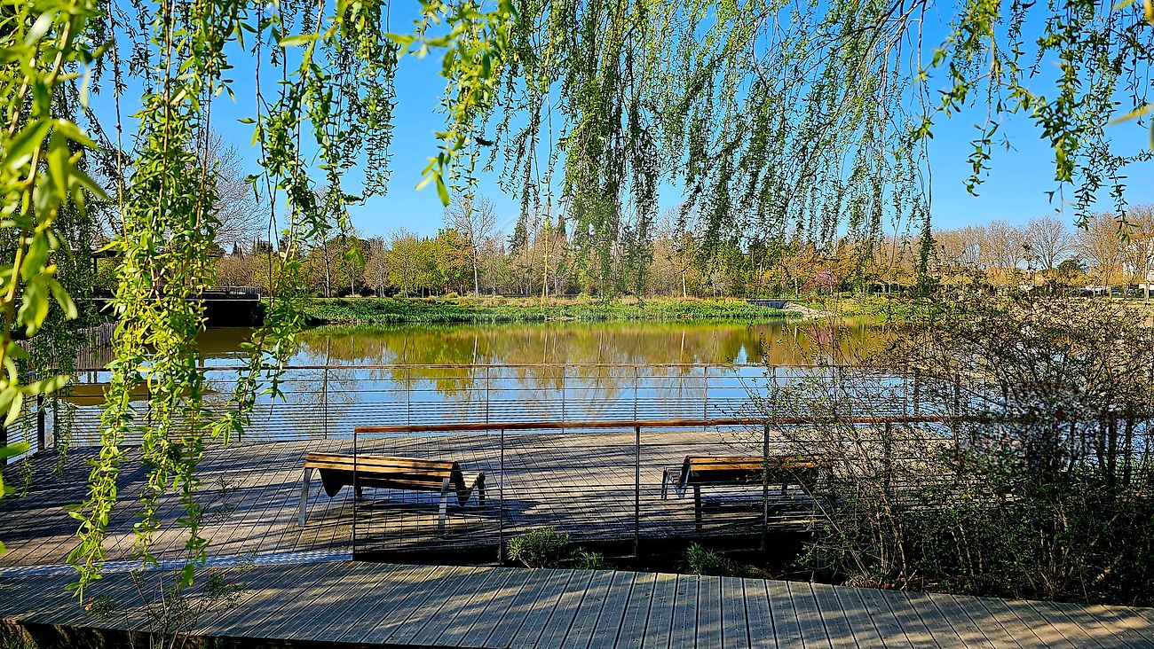 Photo 19