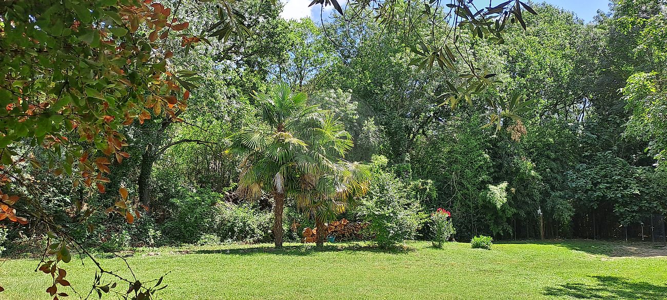 listing-picture-0