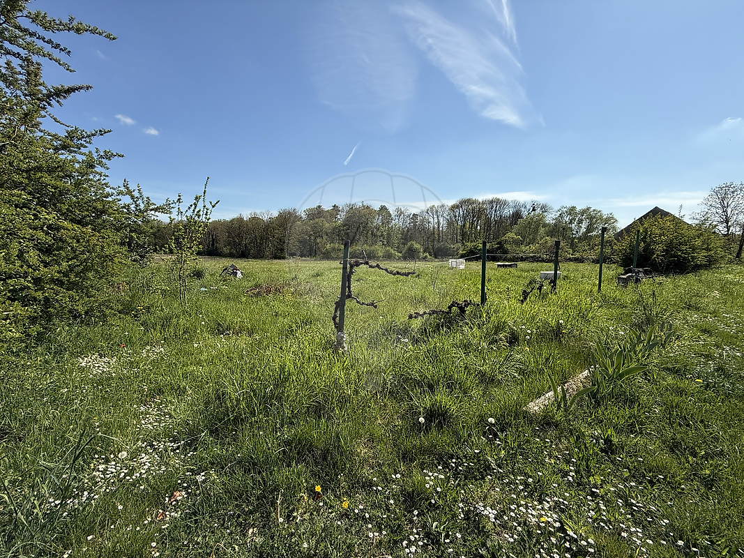 listing-picture-0