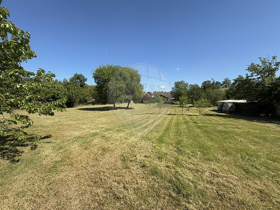 listing-picture-0