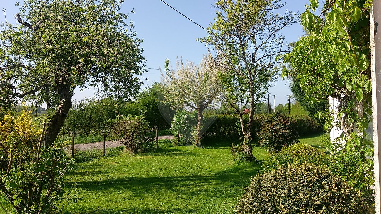 Photo 19