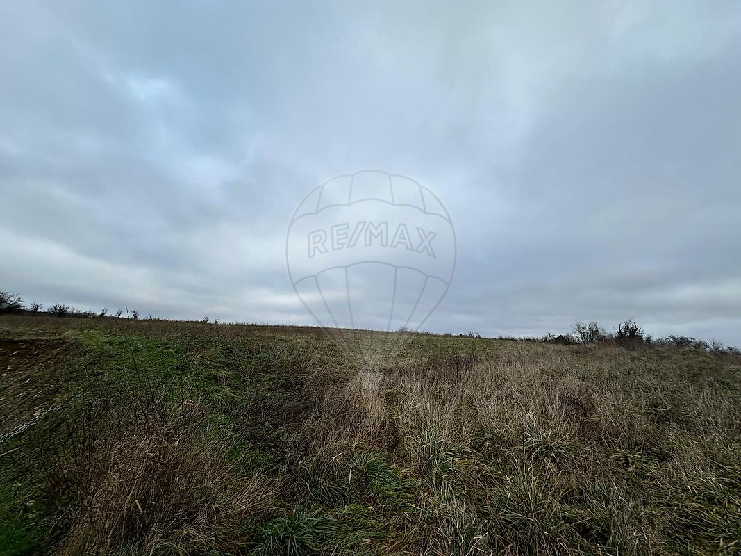 Terrain à vendre - Nousseviller-Saint-Nabor · 99 000 €