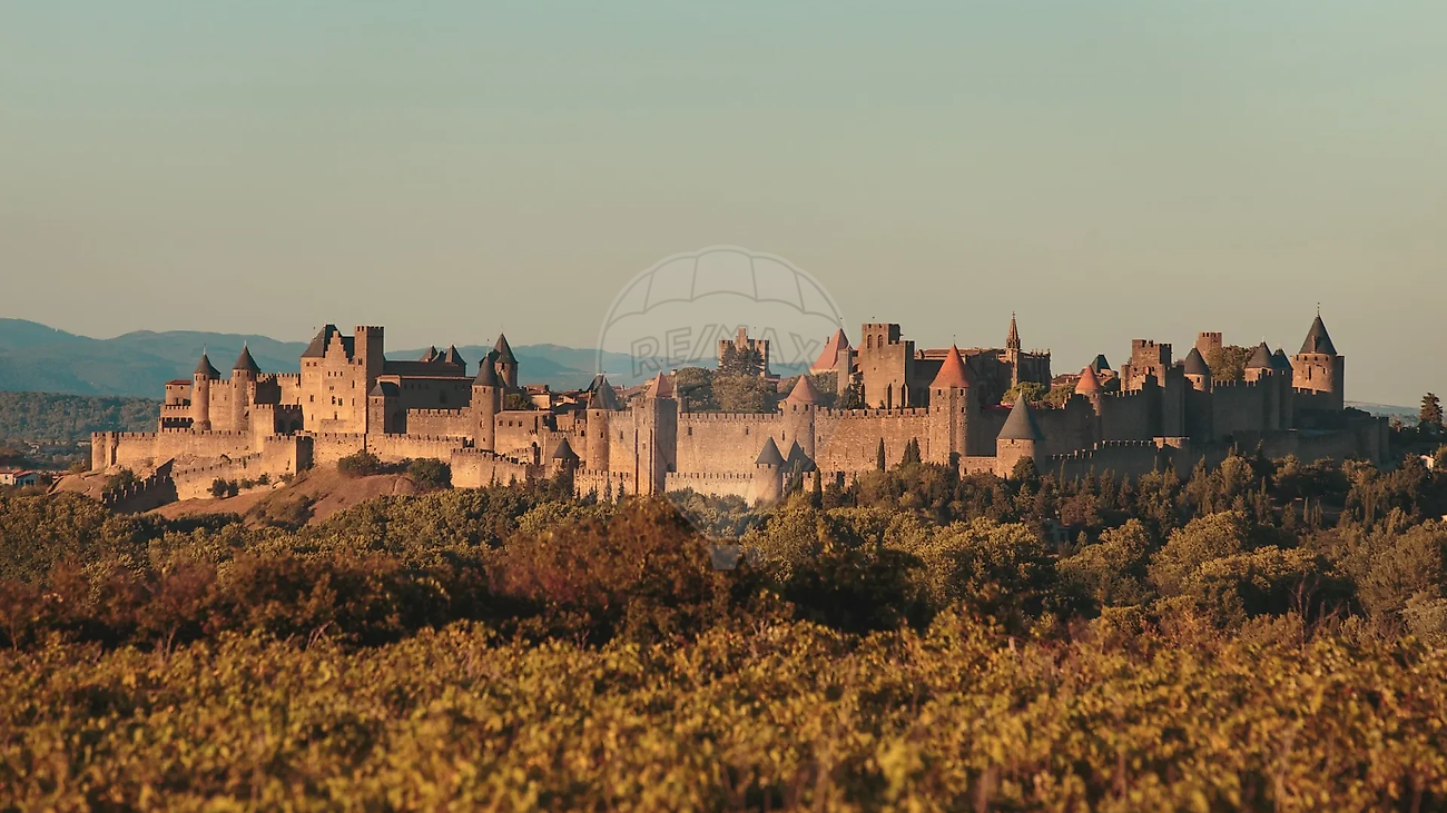 Maison 1400 m² · à Carcassonne · 1 400 m² · 260 000 €