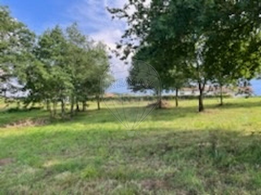 Terrain 1691 m² · à Banos · 1 691 m² · 66 960 €