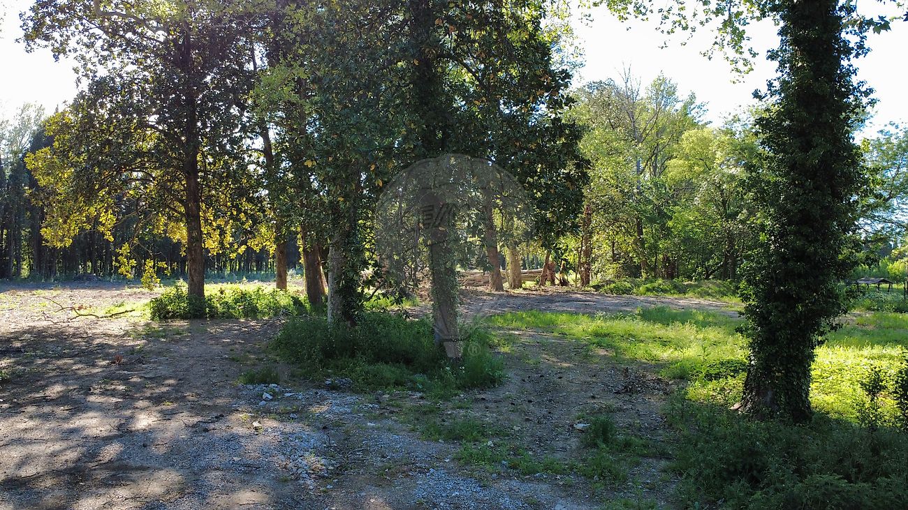 Immobilier pro à vendre - Nîmes 30900