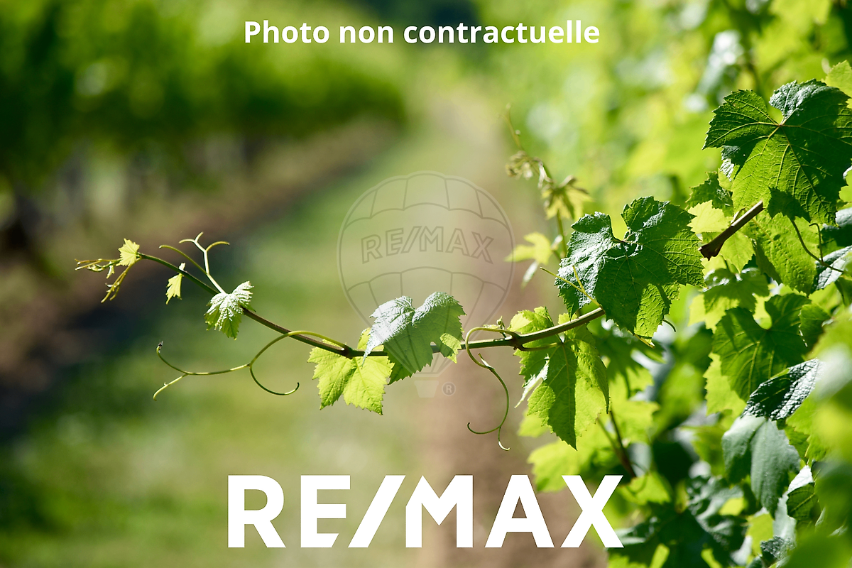 Terrain à vendre, 5000 m²