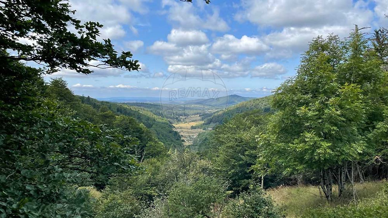 Terrain à vendre, 980 m² - Saint-Sauveur-Camprieu 30750