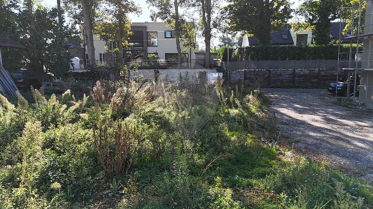 Terrain à vendre - Morschwiller-le-Bas · 92 000 €