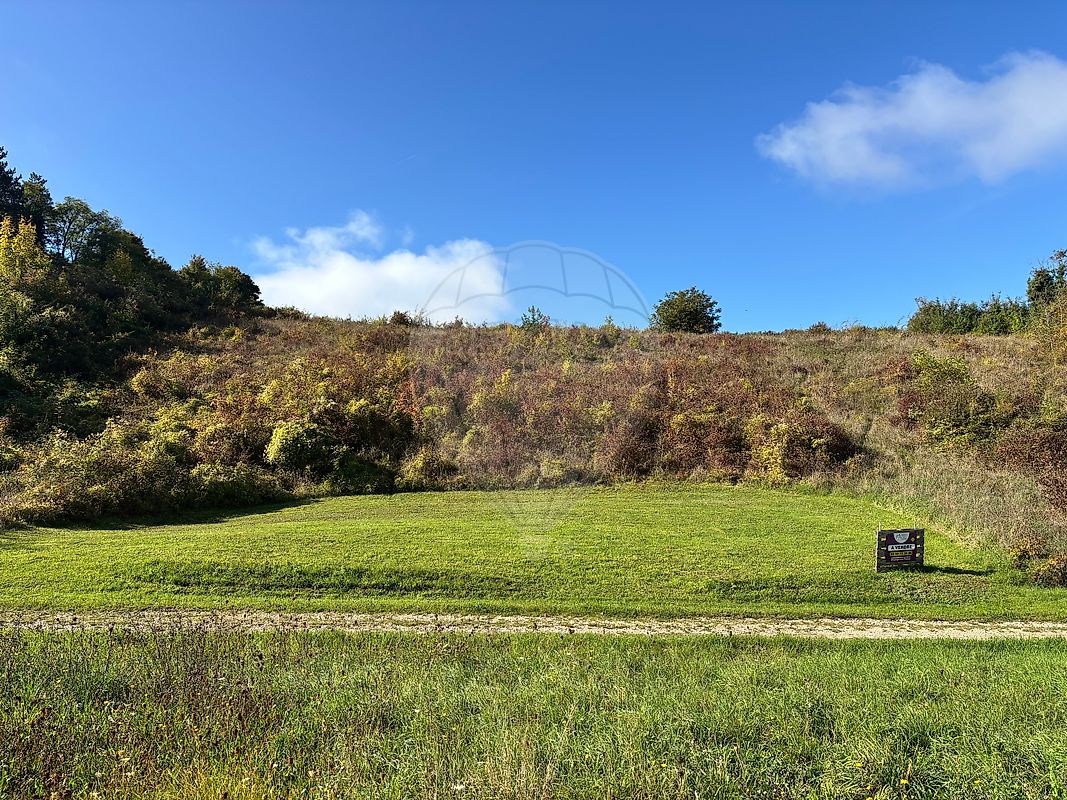 Terrain 4097 m² · à Quenne · 4 097 m² · 19 000 €