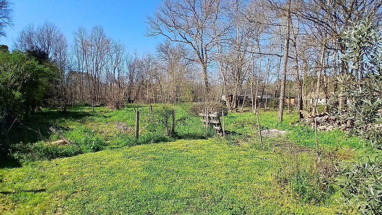 Terrain à vendre - Saint-Selve · 196 000 €