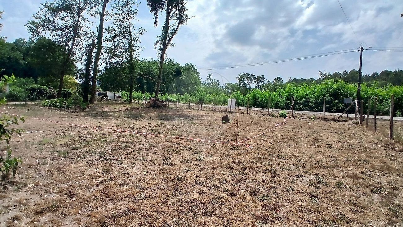 Terrain à vendre - Saint-Morillon · 126 600 €