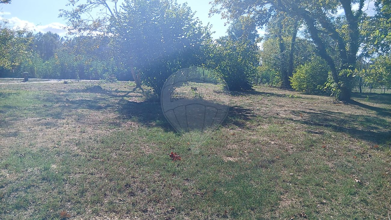 Terrain à vendre - Saint-Morillon · 157 800 €