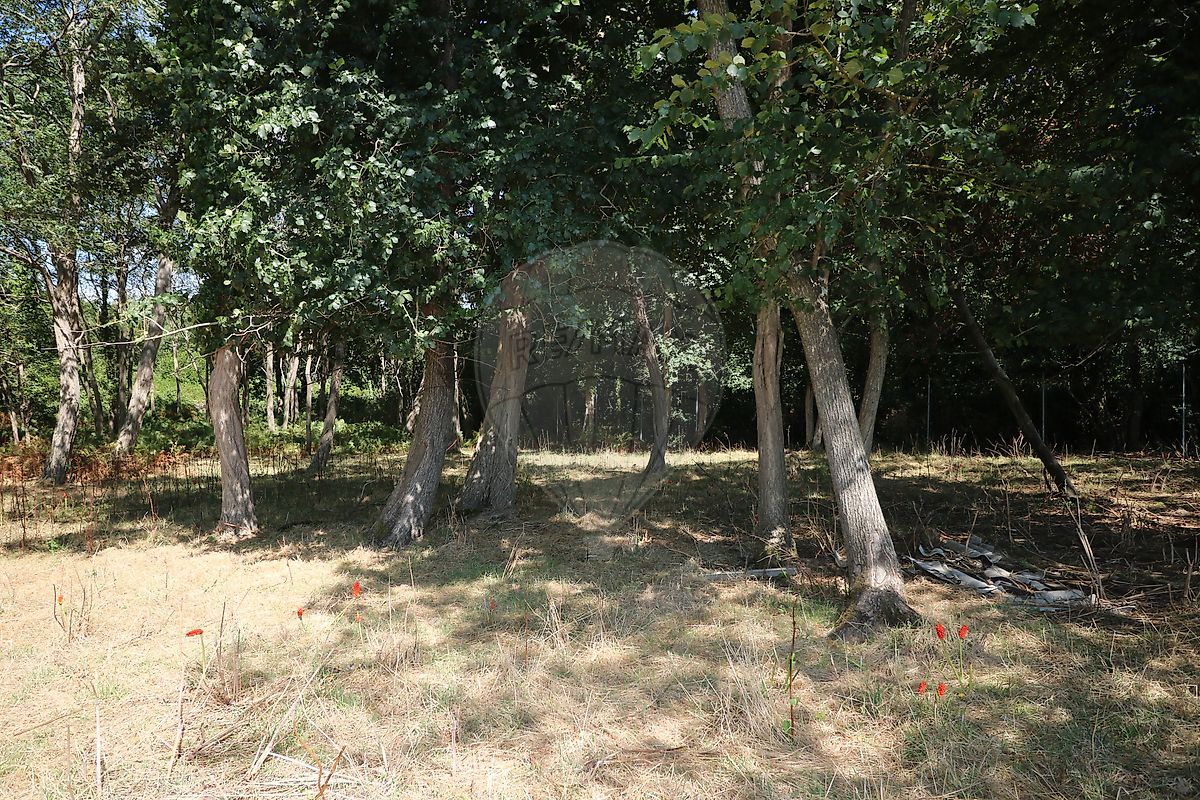 Terrain 22 m² · à Marennes · 22 m² · 254 400 €