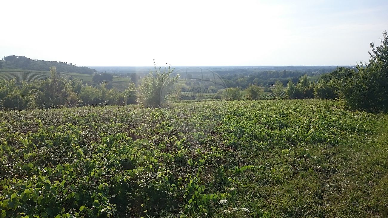 Terrain à vendre, 51 a 25 ca - Villandraut 33730