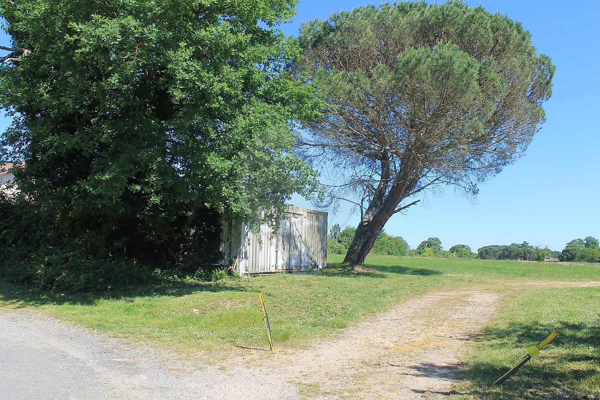 Terrain à vendre, 06 a 71 ca - Rions 33410