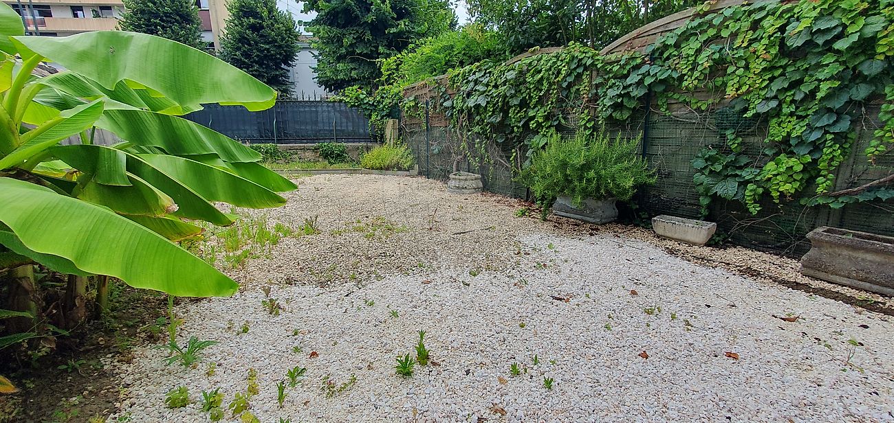 Maison à louer, 3 pièces - Marmande 47200