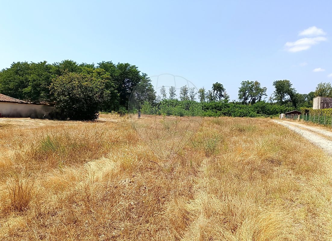 Terrain à vendre, 06 a - Preignac 33210